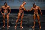 Bodybuilding overall title