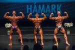Bodybuilding +90kg class